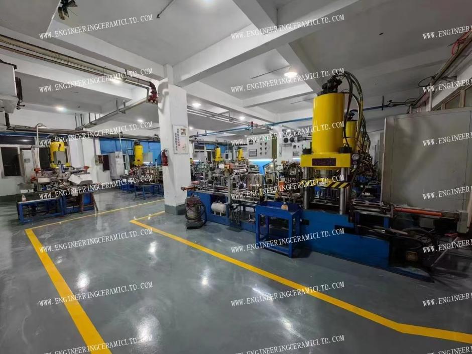 Hevosen vuotta juhlitaan!